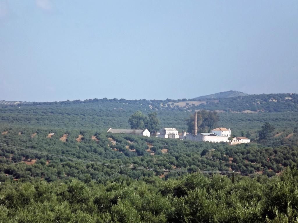 Casa Rural Cortijo Salido Bajo