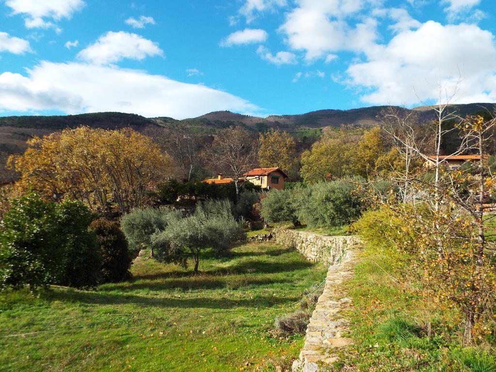 Rural El Camino 3* Candeleda