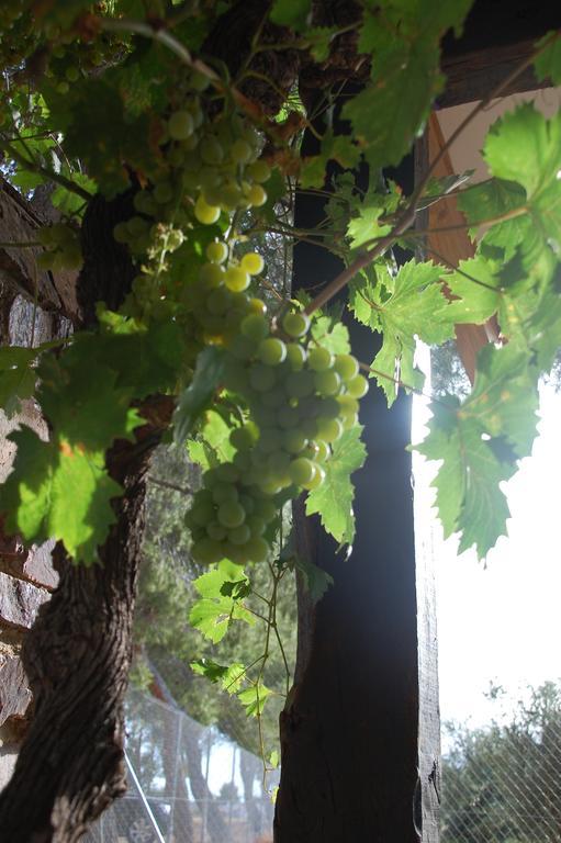 Rurales Caleras Apartamento *