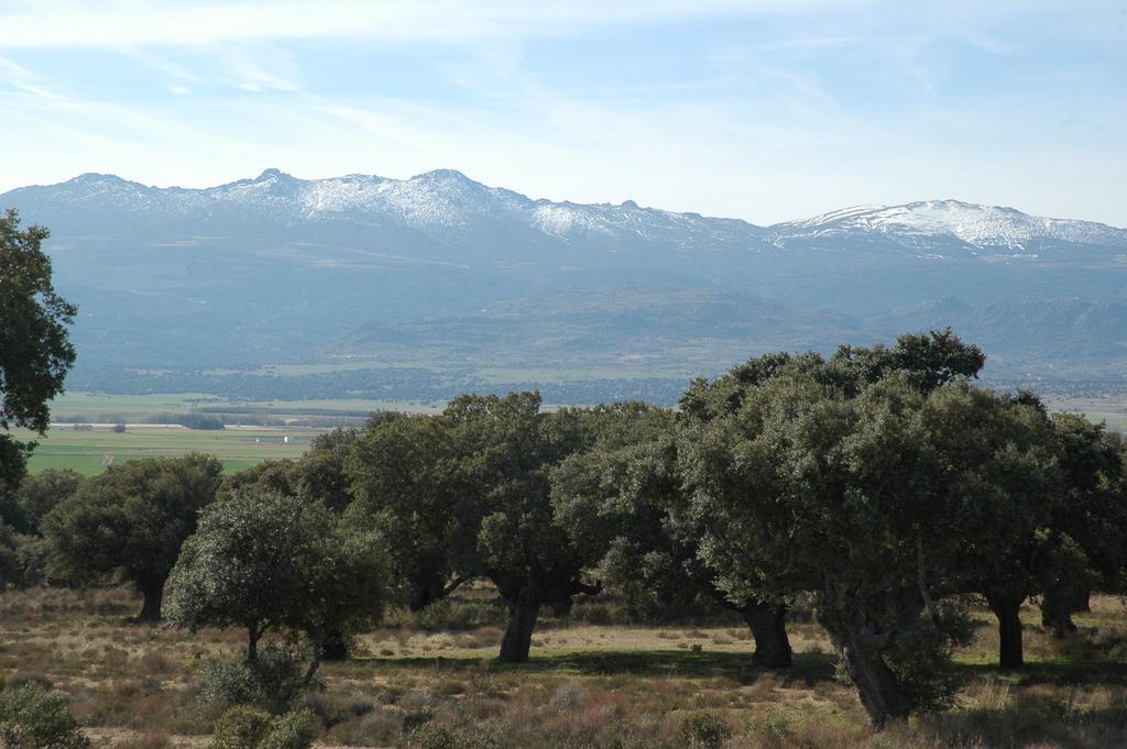 Casa rural Reposo De Afanes *