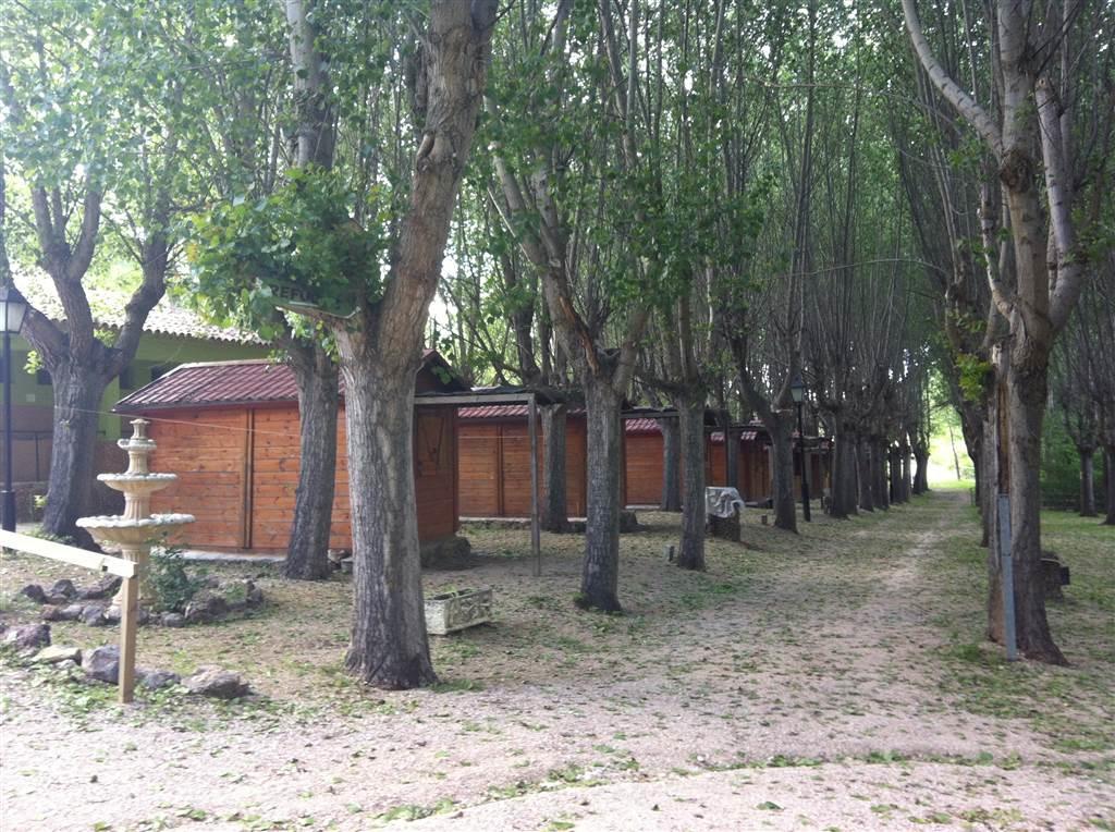 Sierra De Campsite