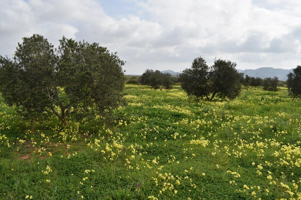 Country house Cortijo La Molina De