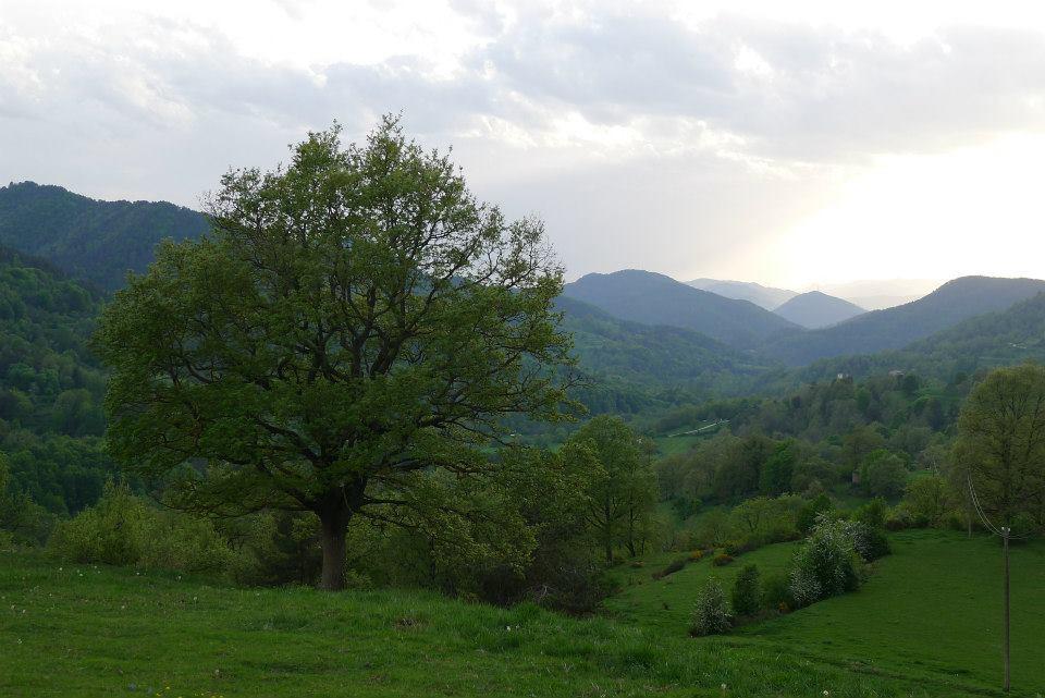 Mas Regort Casa rural Vallfogona De Riucorb