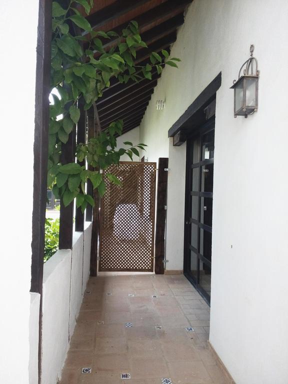 Patio Del Limonero Cordoba