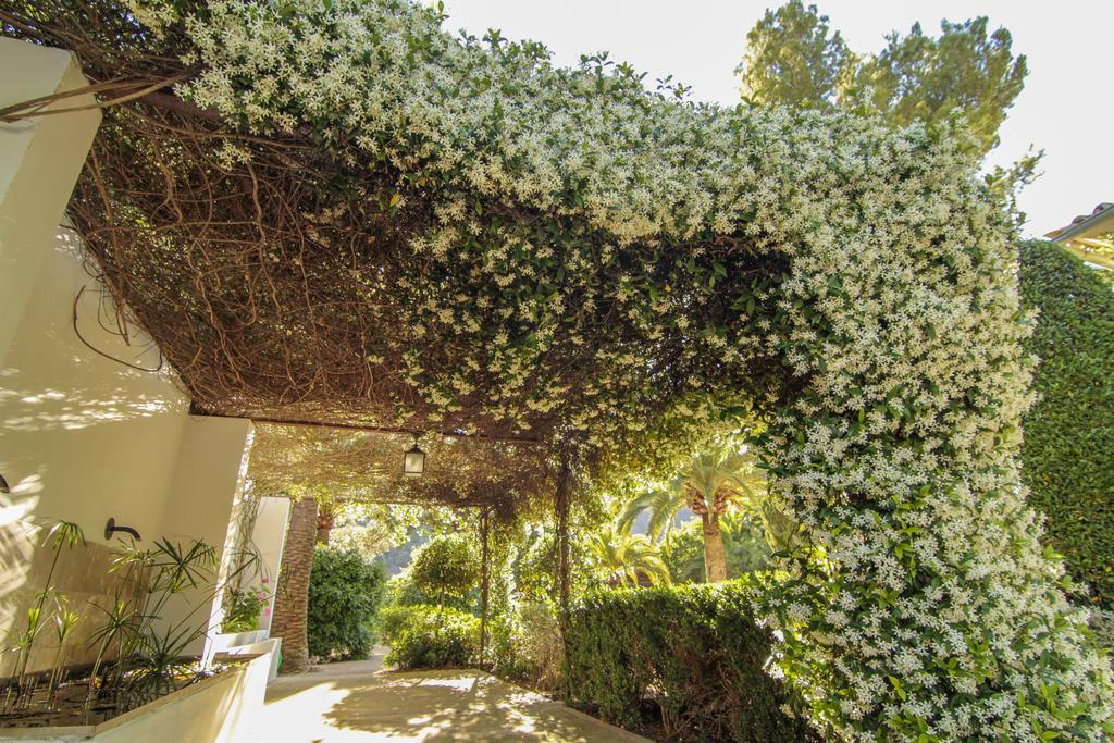 Apartment Alfabia Nou *