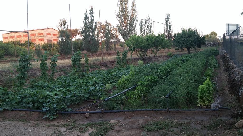 La Vallejera * Tejeda Del Tietar