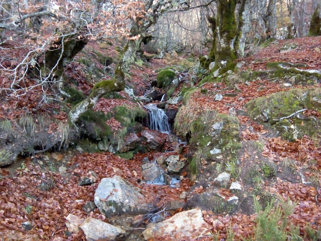 Monte Hernanz Riaza