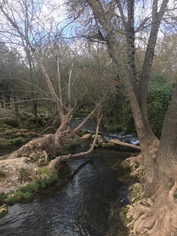 Casa rural Nacimiento Del Huéznar - Tomillo 17
