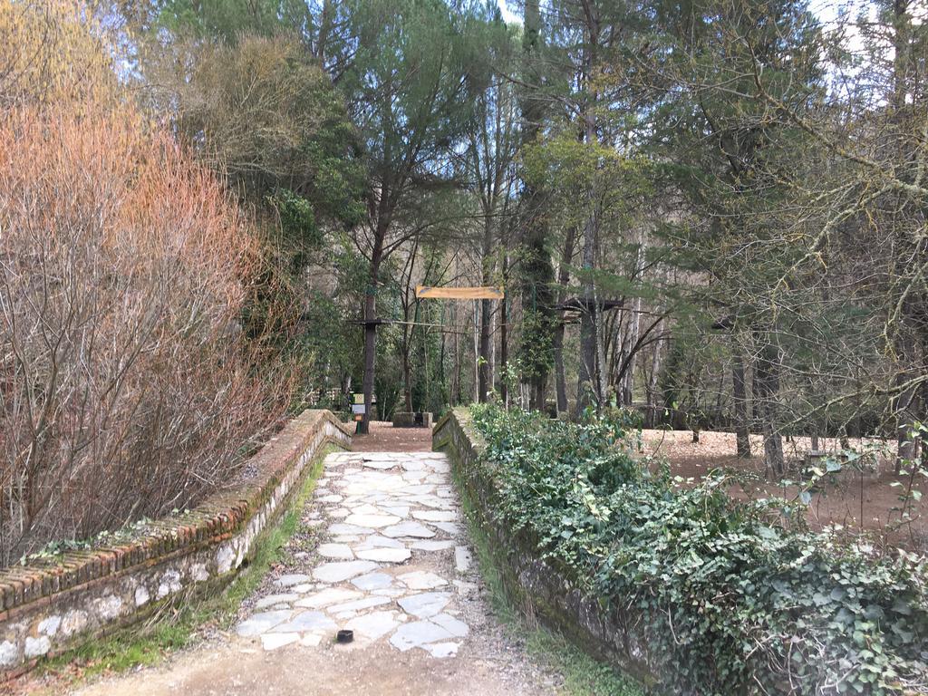 Nacimiento Del Huéznar - Tomillo 17 San Nicolás del Puerto