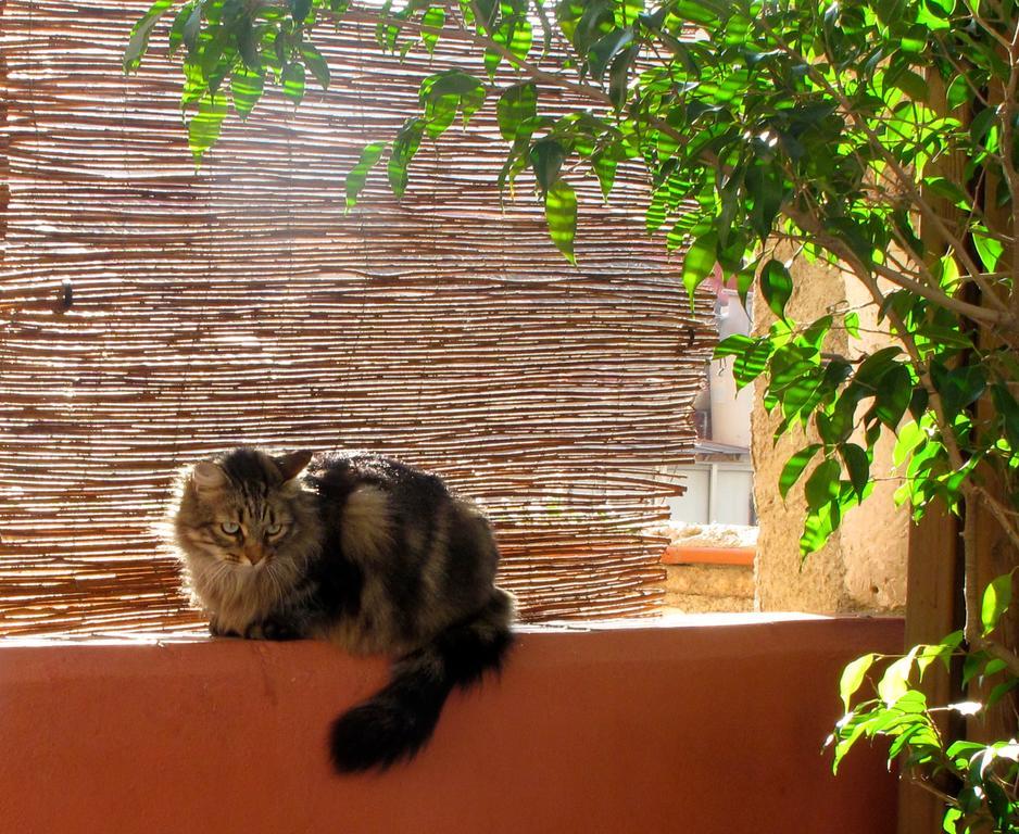 Poblenou Bed & Breakfast