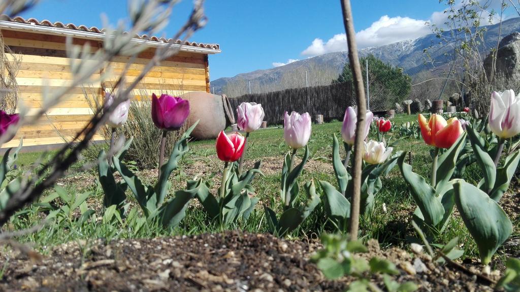 Apartamento La Del Rio Navaluenga