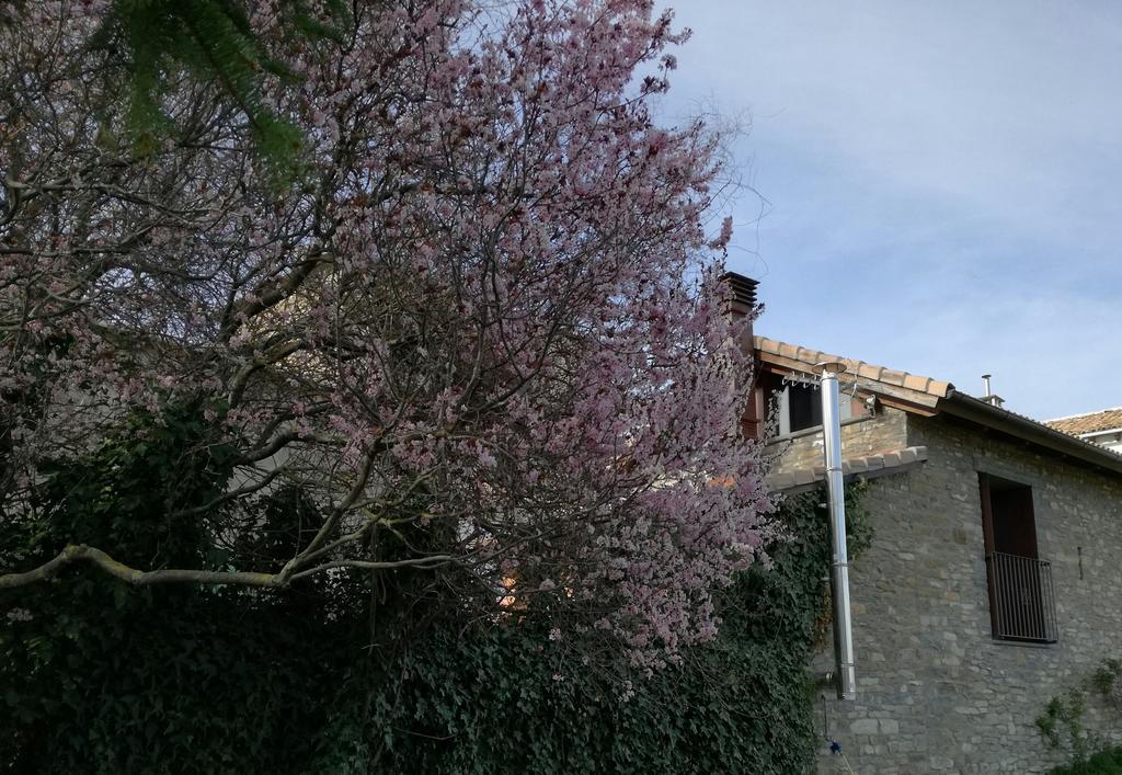 O Zierzo Holiday home Jaca
