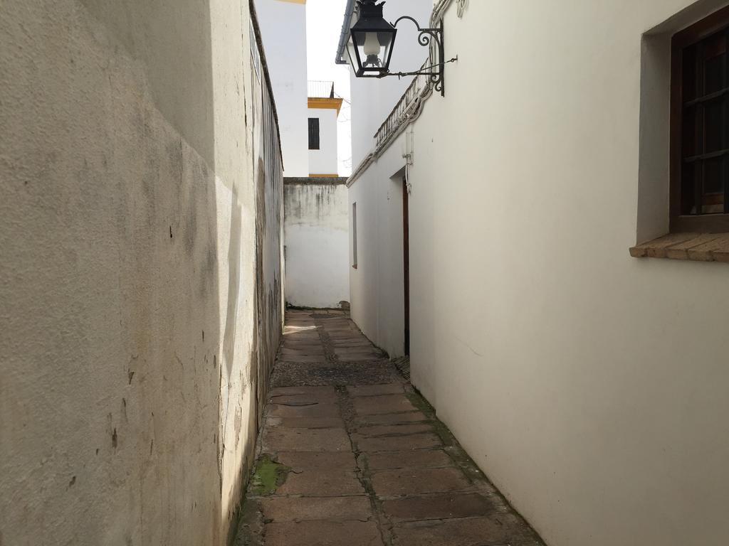 Duplex Juderia Apartment