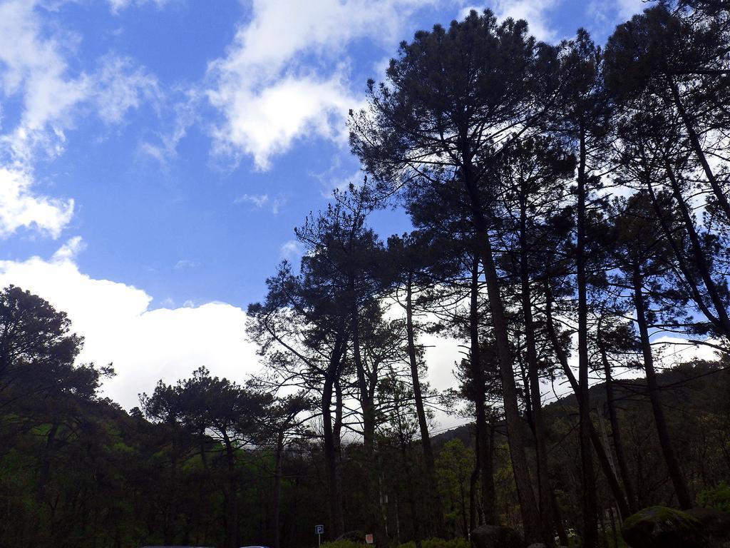 Holiday home La Chova *