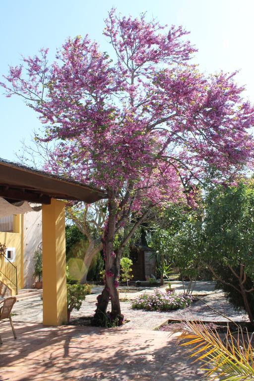 Son Estrany Farm stay