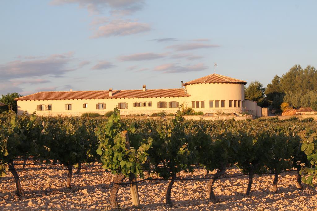 Enoturismo Mainetes Fuente-Alamo (Castilla-La Mancha)