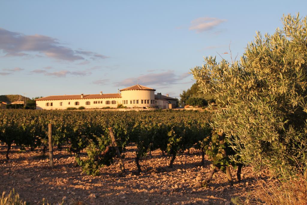 Enoturismo Mainetes Fuente-Alamo (Castilla-La Mancha)