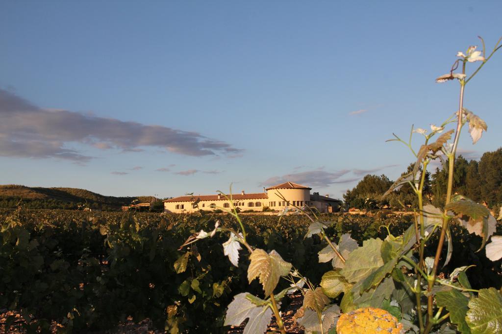 Enoturismo Mainetes 3* Fuente-Alamo (Castilla-La Mancha)