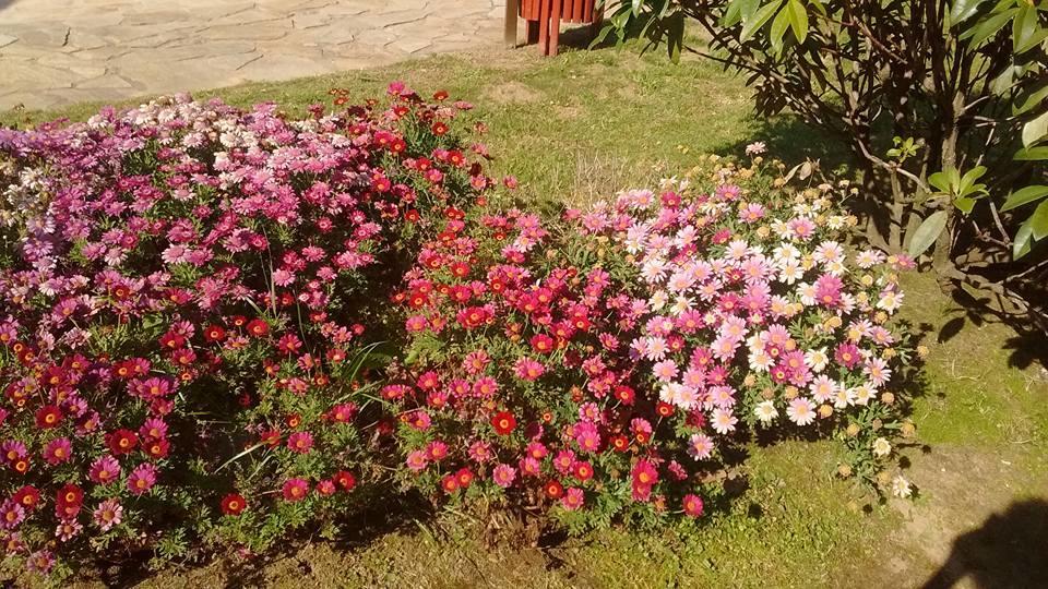 Casa rural Valraiña Foz
