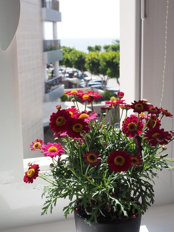 Mediterranea Beach Matutes Noguera Apartamento