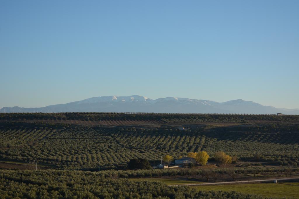 Casas Cuevas Elmirador Fontanar