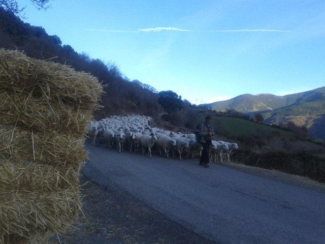 La Llar-lo Paller Del Coc Casa rural