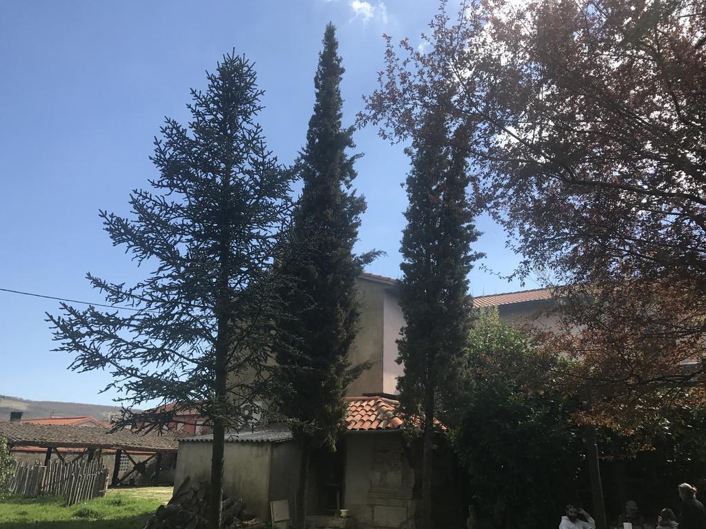 Cavenes Del Cabaco Guest house 2*