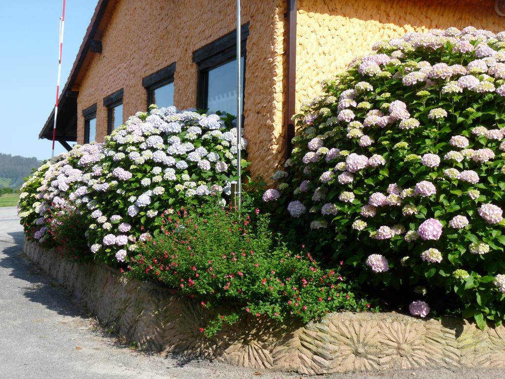 Campsite Camping Colombres *