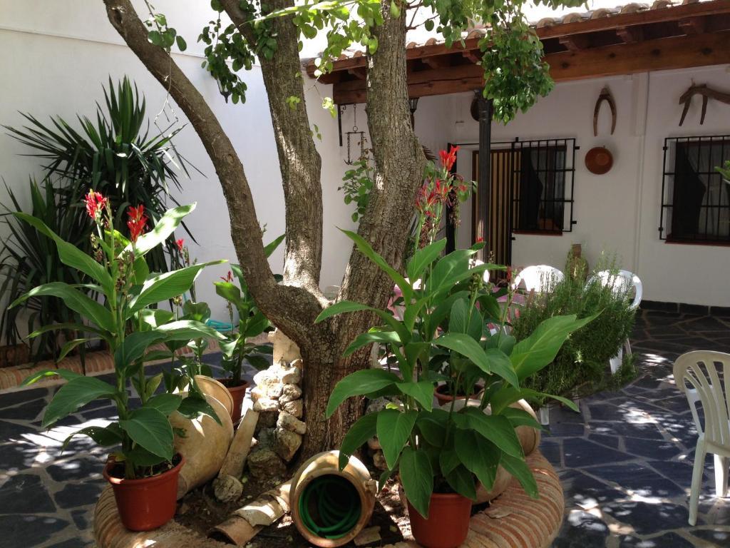 Casa Rural El Rincon Del Infante *