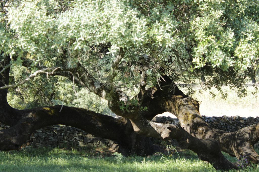 Country house Casa Rural El Tejar *