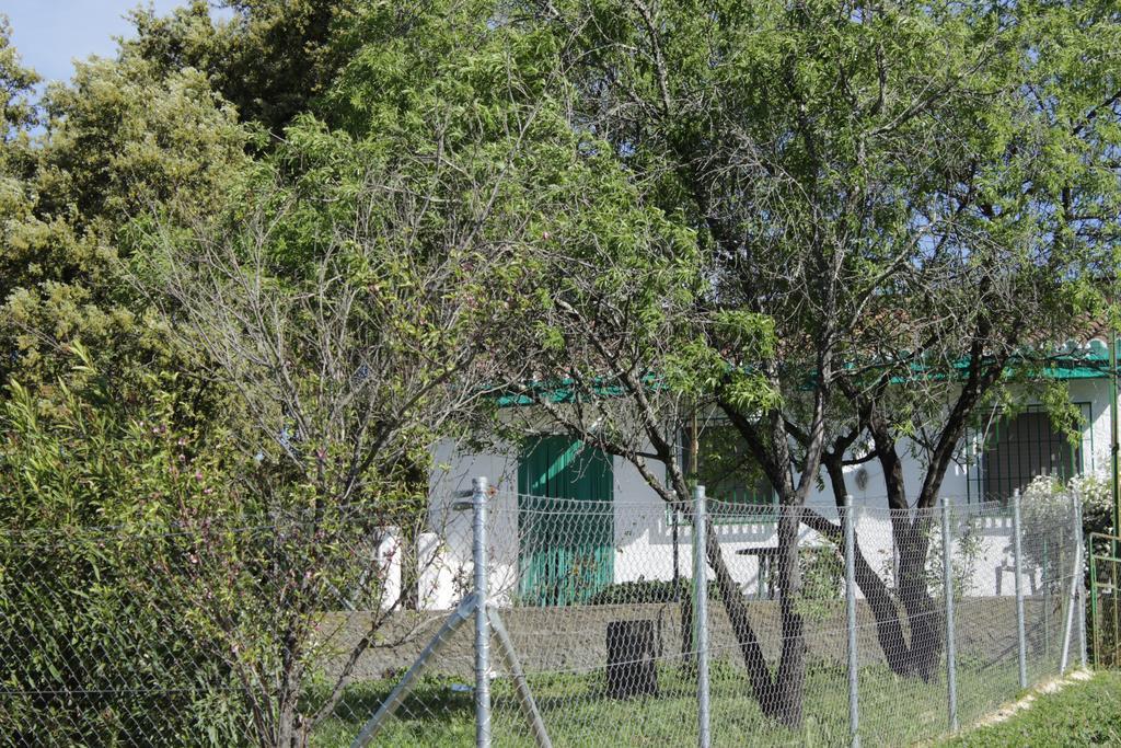 Country house Casa Rural El Tejar