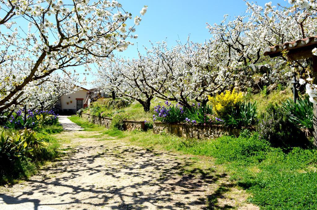 Casa Valeriana *