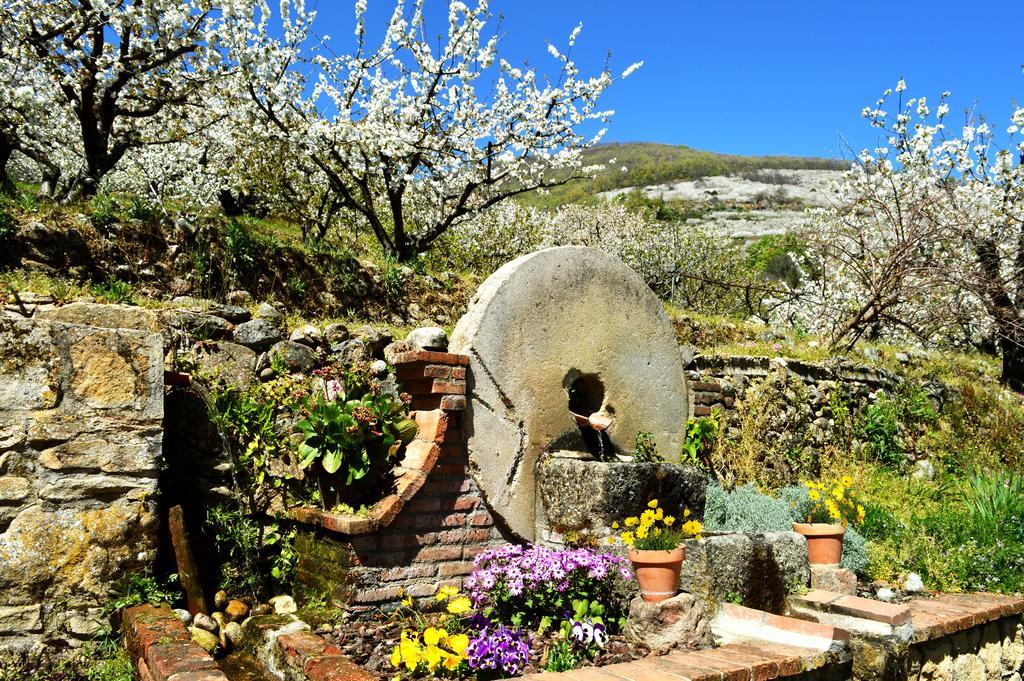 Casa Valeriana Holiday home Navaconcejo
