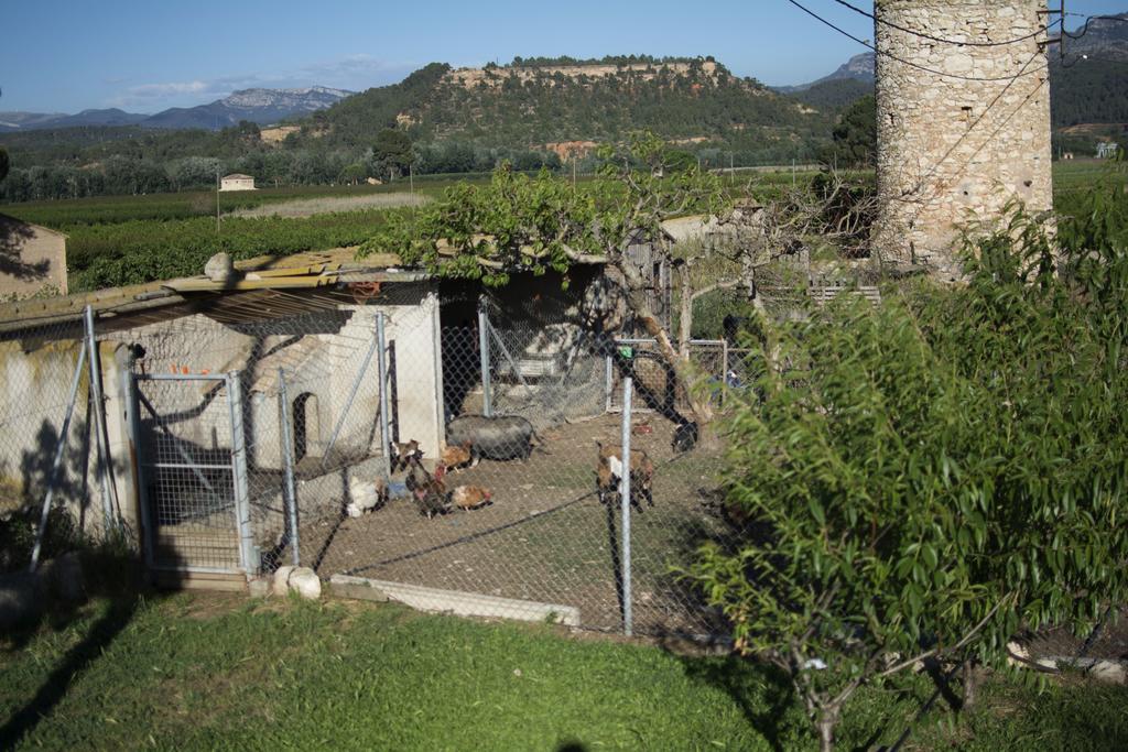 Casa rural Mas Taniet Rural