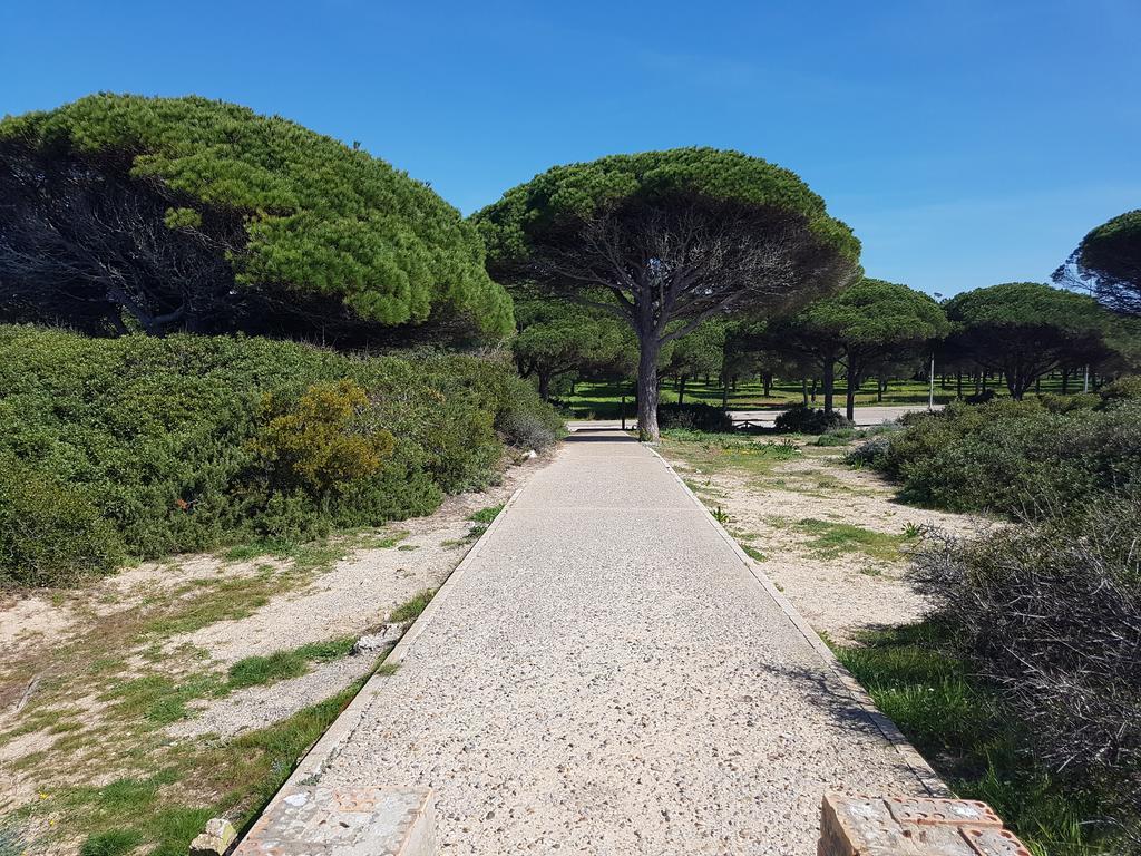 Sancti Petri Marinero *