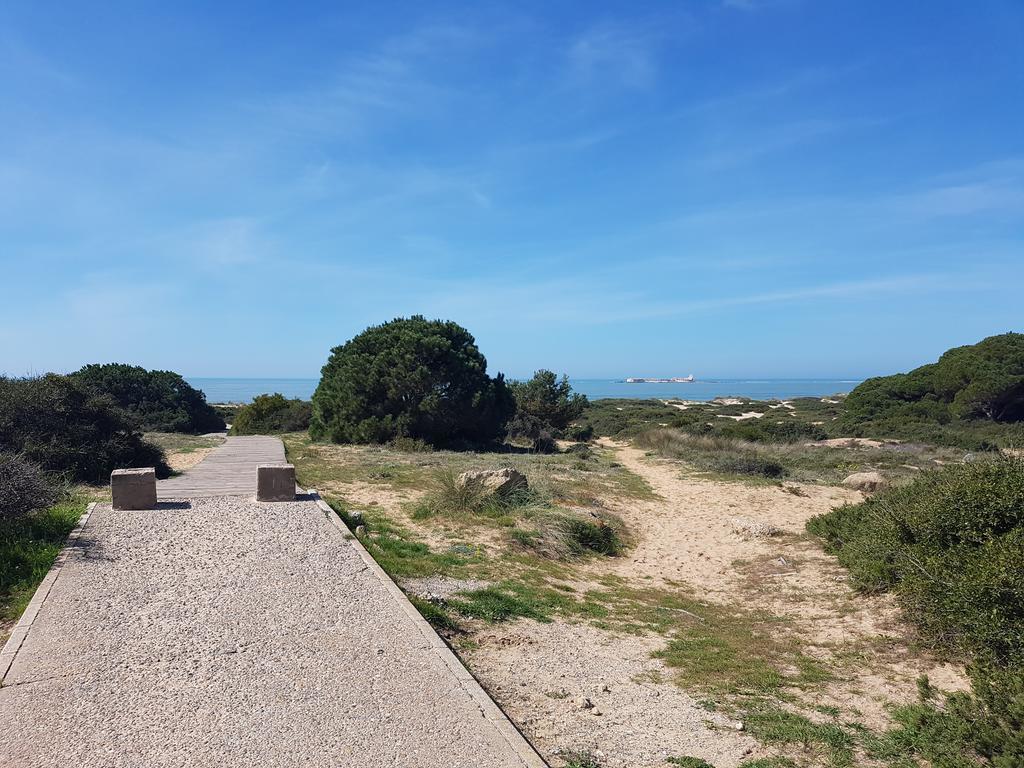 Sancti Petri Marinero Chiclana de la Frontera