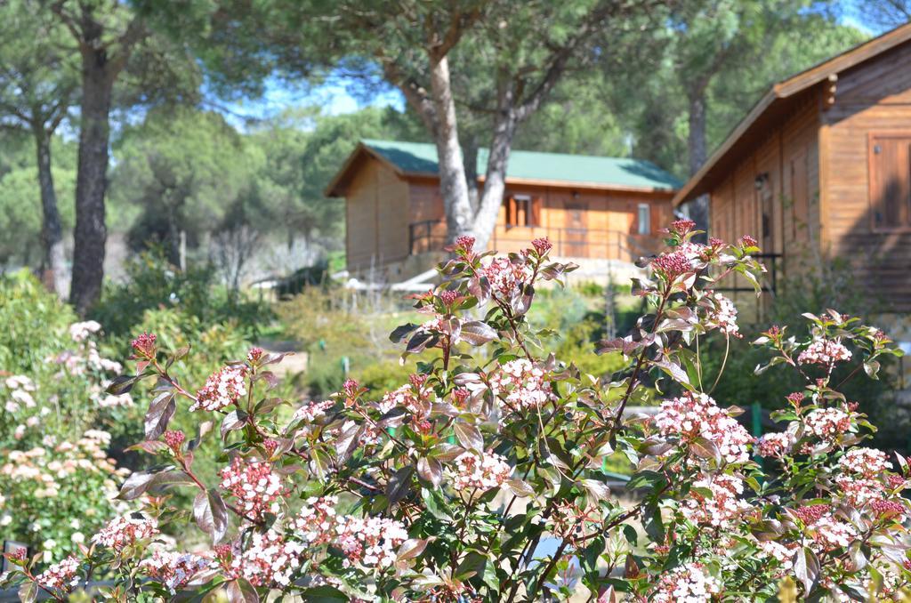 Paraje San Gines Apartamento