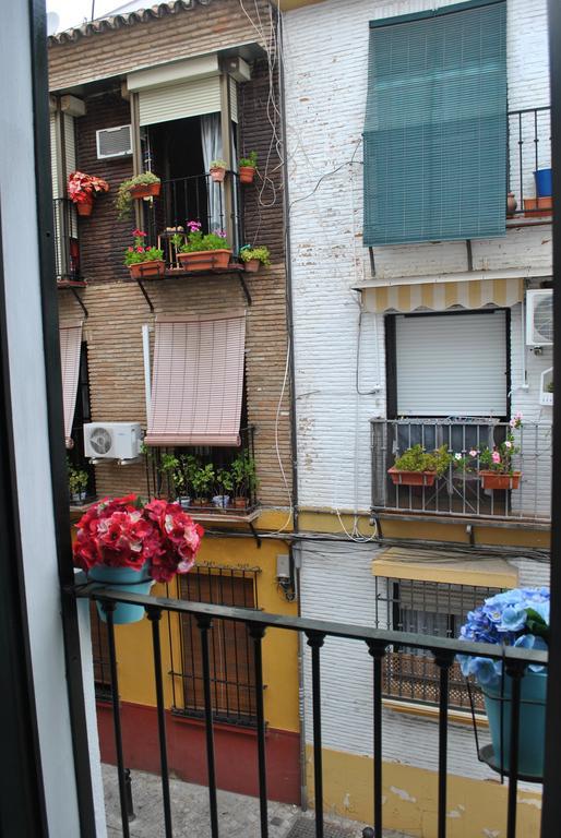 Triana Pelay Sevilla
