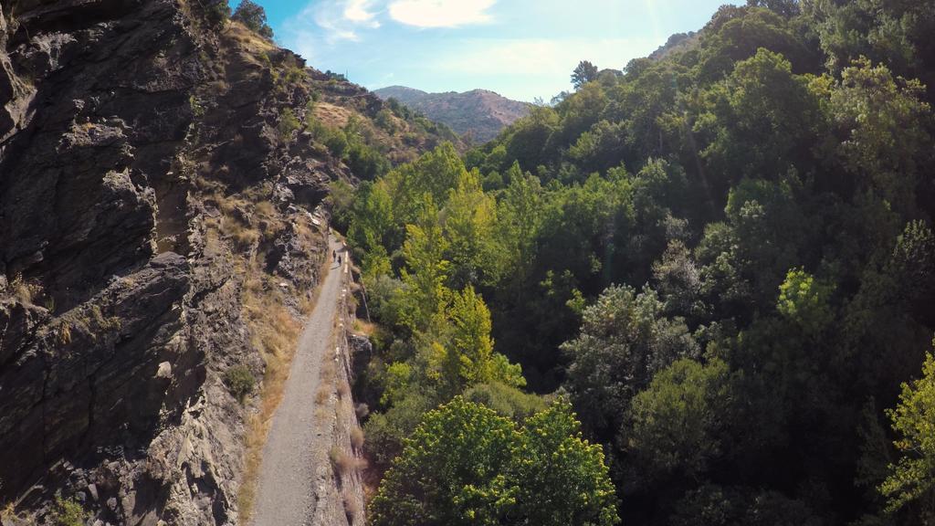 Arroyo De La Greda