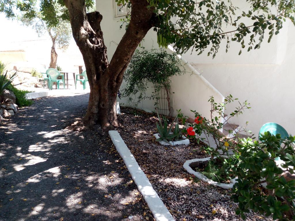 Olive Branch Guest house