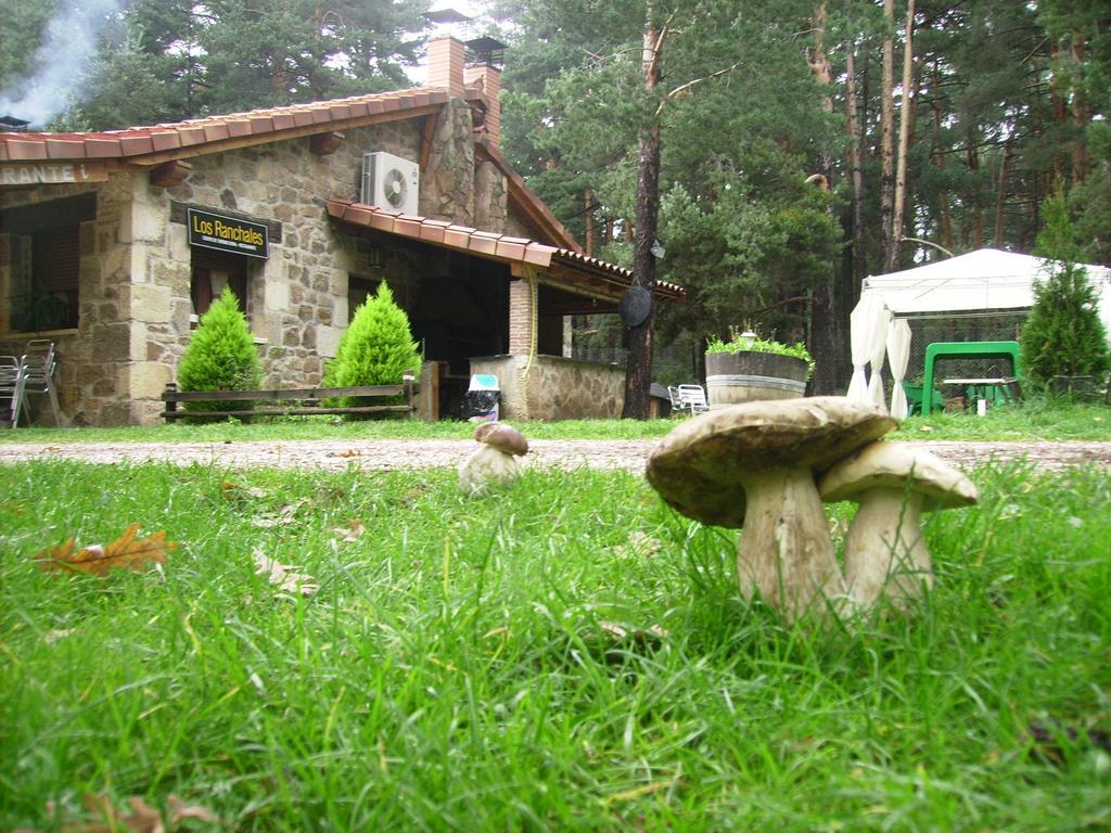 Ranchales Vinuesa
