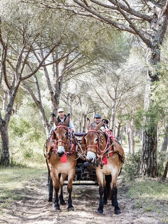 Aldea Chica Holiday home