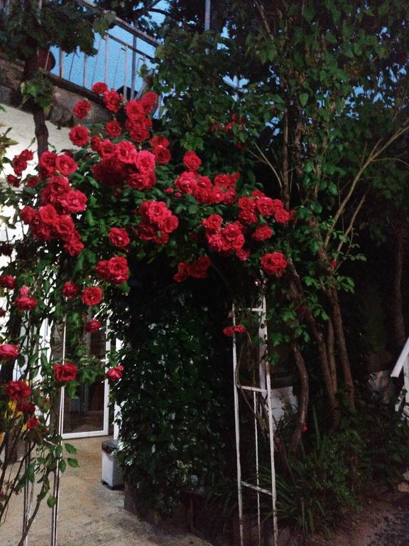 Hostel Pension-Albergue Don Alvaro *