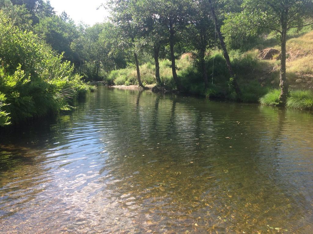 Valle De Cepeda