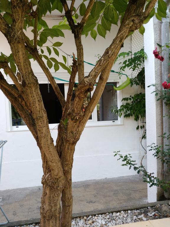Pension-Albergue Don Alvaro * Sarria