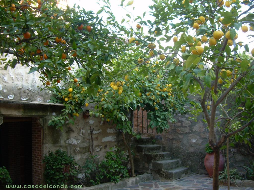 Casa Del Conde Casa rural