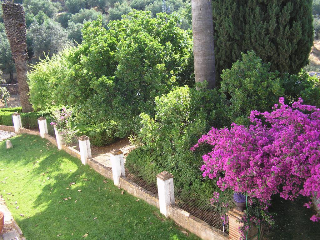 Casa rural La Favorita