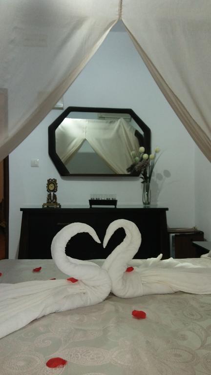 Guest house El Canario
