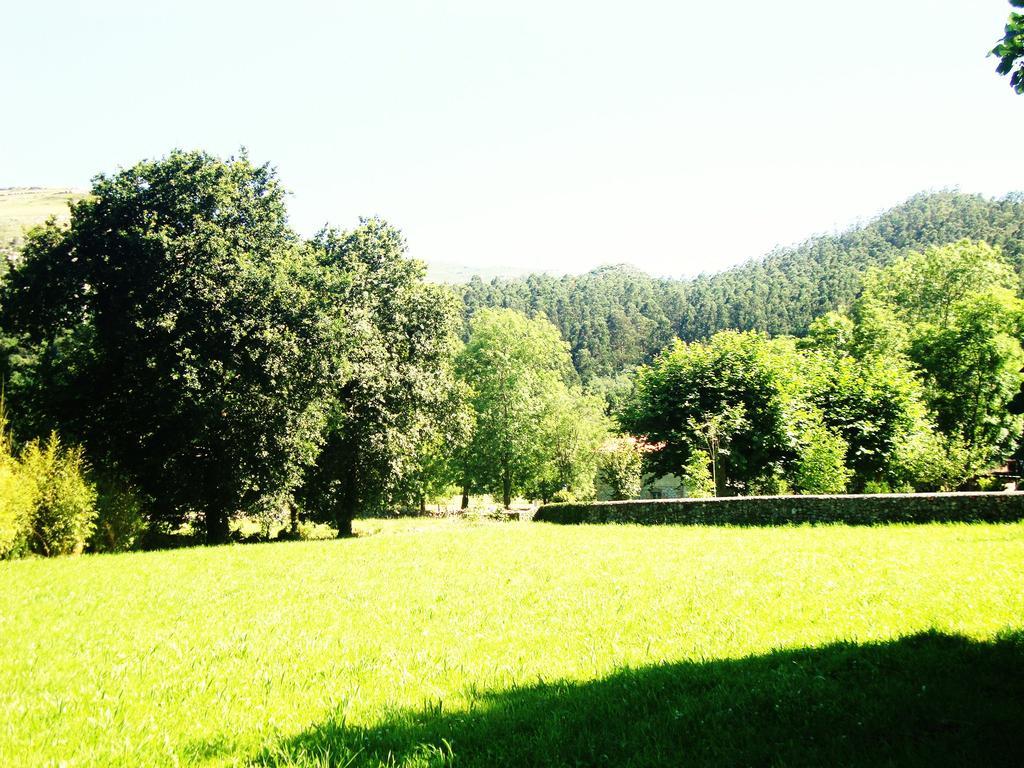 La Ventanita Del Campo