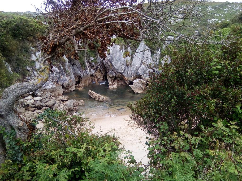 Rural Ovio Hotel 2*